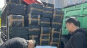 Bea Cukai Makassar Gagalkan Peredaran 56 Ribu Batang Rokok Ilegal di Pelabuhan Makassar